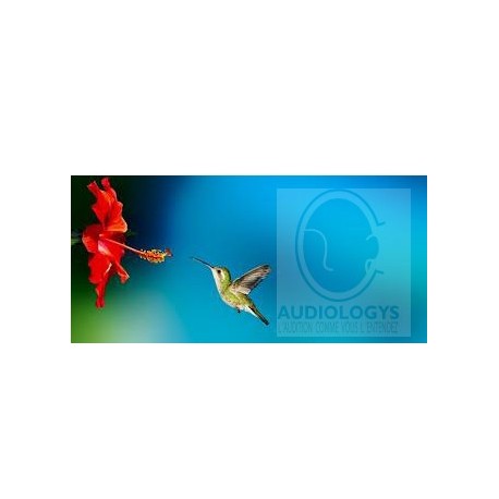 baby 440 D4 PA widex dream D4 prothèse auditive passion micro ric prix